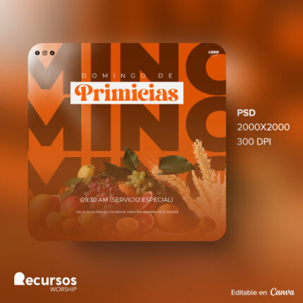 Representación visual de la plantilla de primicias en un dispositivo móvil