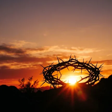Silueta detallada de una corona de espinas contra un cielo naranja intenso de atardecer con destellos de luz solar.