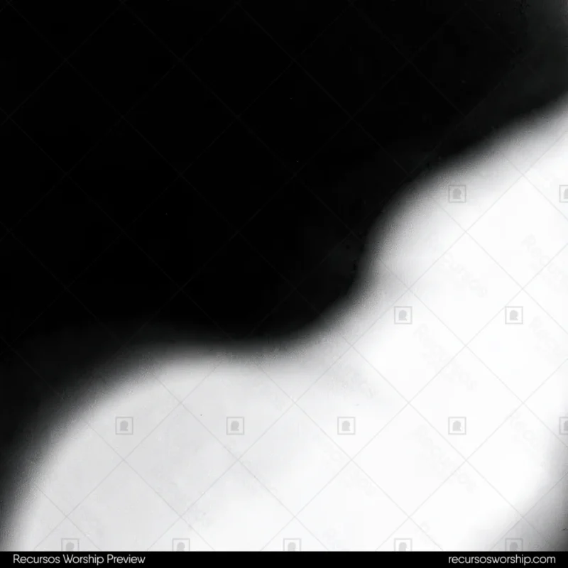 Onda organica curva blanco granulado negro profundo cuadrado abstracto minimalista alto contraste editorial