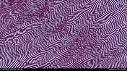 Textura lisa violeta horizontal fondo dark abstracto stock