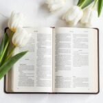 Biblia abierta con páginas en doble columna y tulipanes blancos frescos sobre fondo blanco texturizado vista cenital
