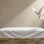 Paloma blanca con alas extendidas en vuelo sobre altar de piedra con tela blanca bajo arcos y luz natural oblicua cálida interior panorámico