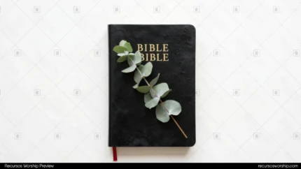 Biblia negra de cuero con letras doradas y marcapáginas rojo con rama de eucalipto verde grisáceo sobre fondo blanco vista cenital