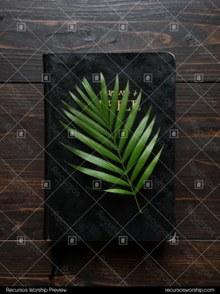 Biblia negra de cuero con hoja de palma verde brillante diagonal sobre tablones de madera oscura envejecida vista cenital