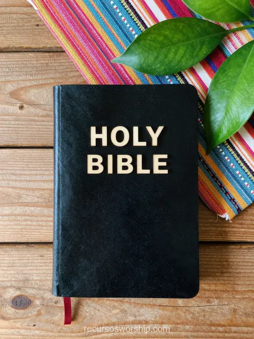 Holy Bible Negra con Tela Colorida y Hojas Tropicales Holy Bible negra con letras doradas sobre madera con tela rayada multicolor y hojas verdes tropicales asomando en esquina vista cenital