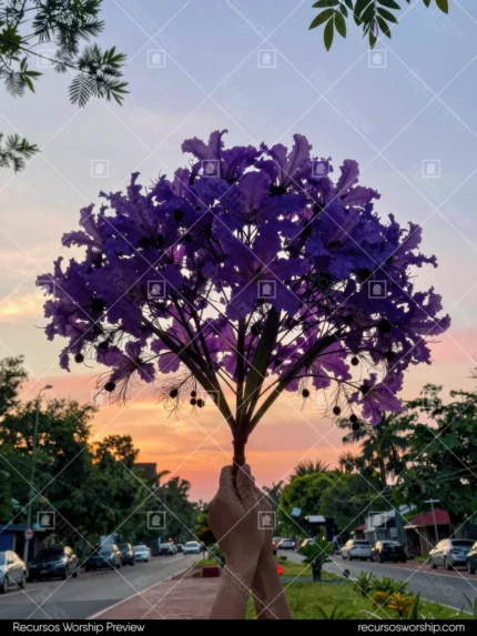 Mano sosteniendo arbol flores moradas jacaranda cielo atardecer naranja rosa vibrante arboles verdes calle fondo vertical dramatico evocador poetico nueva vida primaveral pascua