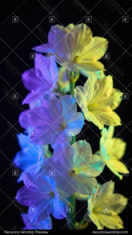 Flores racimo azul morado cian amarillo verde neon UV ultravioleta fondo negro vertical plano detalle floral luminoso overlay arte