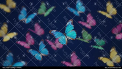 Mariposas multicolor vuelo fondo azul indigo oscuro morpho azul grande nitida centro rosa verde amarilla bokeh horizontal general dinamico vibrante natural espectral textura diseno overlay