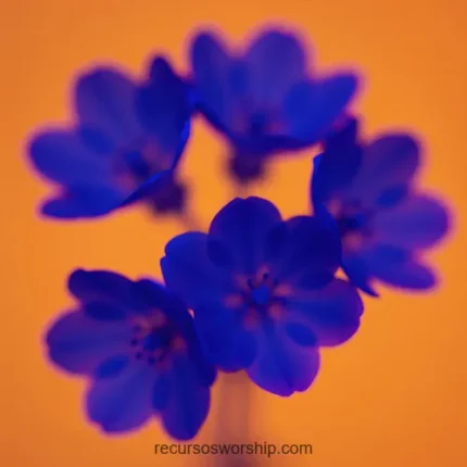 Flores azul violeta intenso plano detalle foco suave fondo naranja dorado calido difuminado cuadrado bodegon floral soft focus contraste complementario adoracion fe botanica