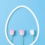 Marco forma huevo blanco tres tulipanes dos rosa palido uno blanco alineados contorno fondo azul celeste vibrante vertical movil minimalista fresco elegante pascua primaveral