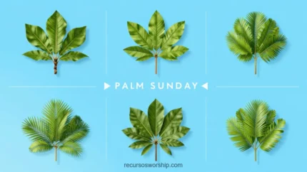 Composicion horizontal seis hojas palma tropicales 3d fotorrealistas distintas especies verde vibrante fondo azul celeste texto palm sunday blanco grid limpio festivo domingo ramos botanico