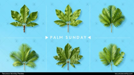 Composicion horizontal seis hojas palma tropicales 3d fotorrealistas distintas especies verde vibrante fondo azul celeste texto palm sunday blanco grid limpio festivo domingo ramos botanico