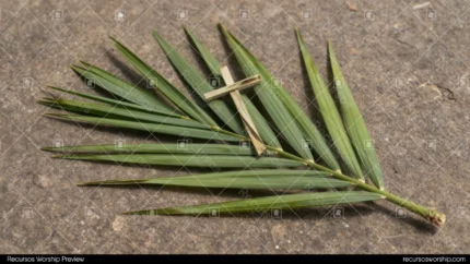 Rama palma verde grande horizontal superficie piedra gris rustica cruz artesanal tejida tiras palma encima cenital natural contemplativo domingo ramos artesania fe sencilla