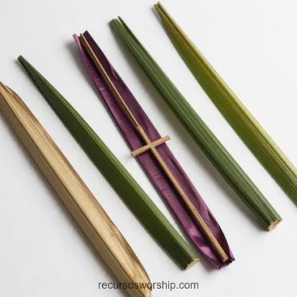 Vista cenital cinco hojas palma alargadas distintos colores verde oscuro medio morado granate beige seco cruz palma tejida centro fondo blanco cuadrado simbólico liturgico domingo ramos