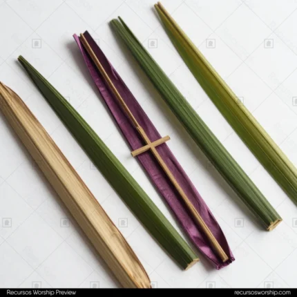 Vista cenital cinco hojas palma alargadas distintos colores verde oscuro medio morado granate beige seco cruz palma tejida centro fondo blanco cuadrado simbólico liturgico domingo ramos