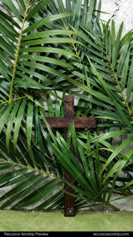 Cruz madera oscura rustica apoyada hojas palma verdes abundantes fondo muro piedra gris vertical solemne festivo domingo ramos pascua
