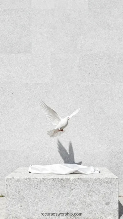 Paloma blanca alas abiertas despegando vuelo pedestal altar marmol blanco tela blanca doblada fondo pared marmol gris claro vertical minimalista solemne espiritu santo pascual pureza