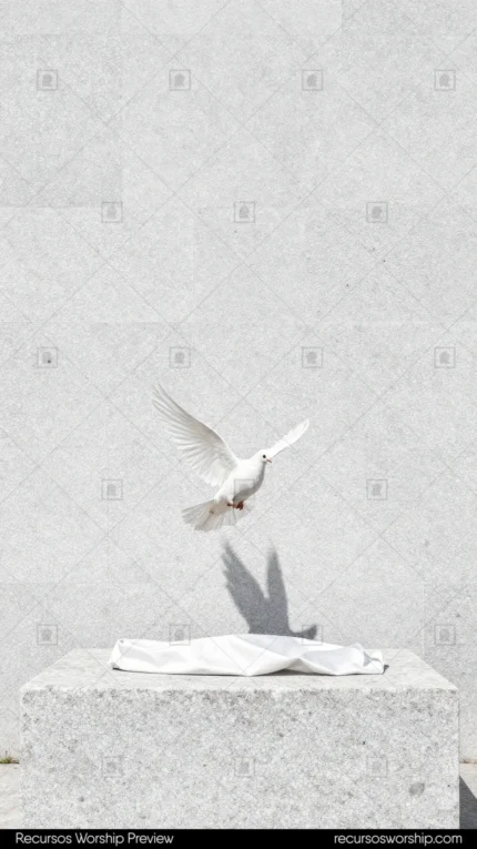 Paloma blanca alas abiertas despegando vuelo pedestal altar marmol blanco tela blanca doblada fondo pared marmol gris claro vertical minimalista solemne espiritu santo pascual pureza
