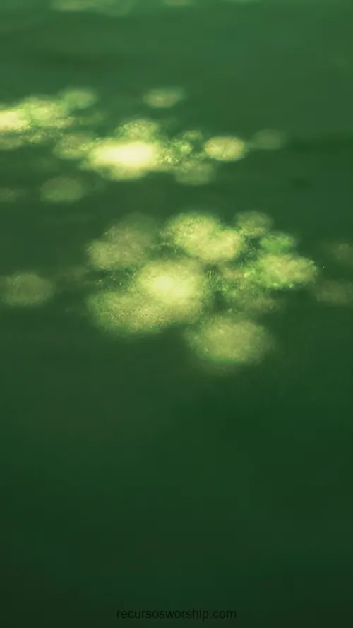 Manchas Luz Solar Filtrada Hojas Círculos Luz Difusa Superficie Verde Musgo Oscuro Vertical Dappled Manchas luz solar filtrada hojas circulos luz difusa amarillo verde superficie verde musgo oscuro vertical dappled light natural serena contemplativa pastoral presencia dios ministerial