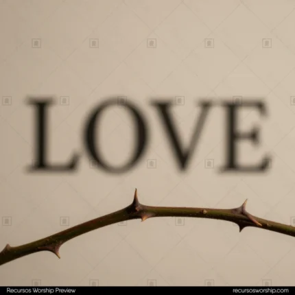 Primer plano de rama delgada con espinas desenfocada con la palabra LOVE en tipografia serif grande al fondo beige crema cuadrado poético conceptual