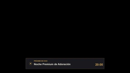 Charcoal Gold ProximoEnVivo vMix Title