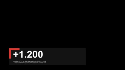 Mono Bold Dato Overlay para Transmisión Cristiana