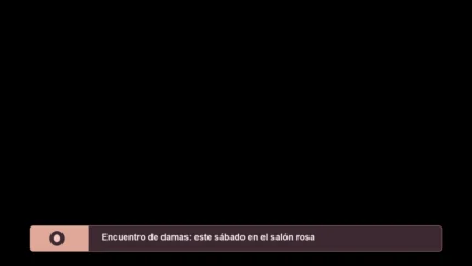 Rose Gold Anuncio vMix Title