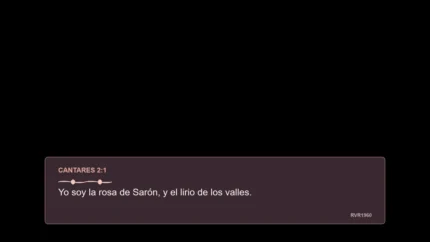 Rose Gold Versículo Título Animado para vMix