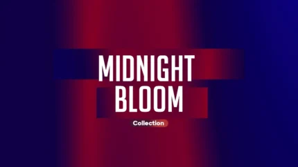 Midnight Bloom Collection Kit