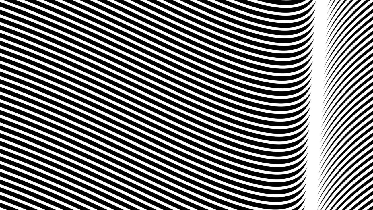 Curvas Finas Blancas sobre Fondo Negro