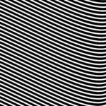 Curvas Finas Blancas sobre Fondo Negro
