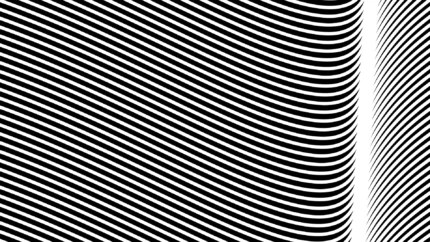Curvas Finas Blancas sobre Fondo Negro