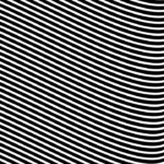 Curvas Finas Blancas sobre Fondo Negro Still