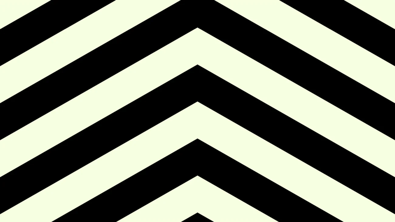Franjas Anchas en Chevron Blanco y Negro