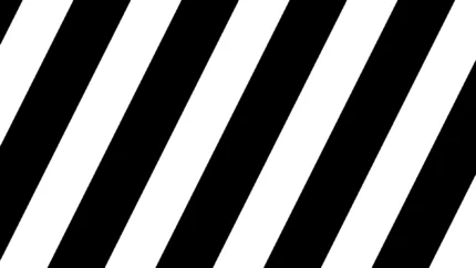 Franjas Diagonales Definidas en Blanco y Negro